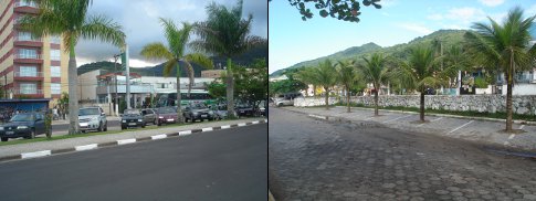 Coqueiros: em Caraguatatuba, no canteiro, e em Ubatuba, dentro do estacionamento. - Imagem:  Marcos Guerra