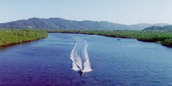 Rio Itapanhaú - Bertioga - SP