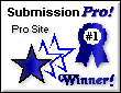 Submission Pro! Pro! Site Award! - 06/08/98